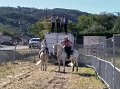 la p'tite feria (13)